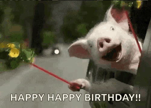 a pig is holding a red rope in its mouth and says `` happy happy birthday '' .