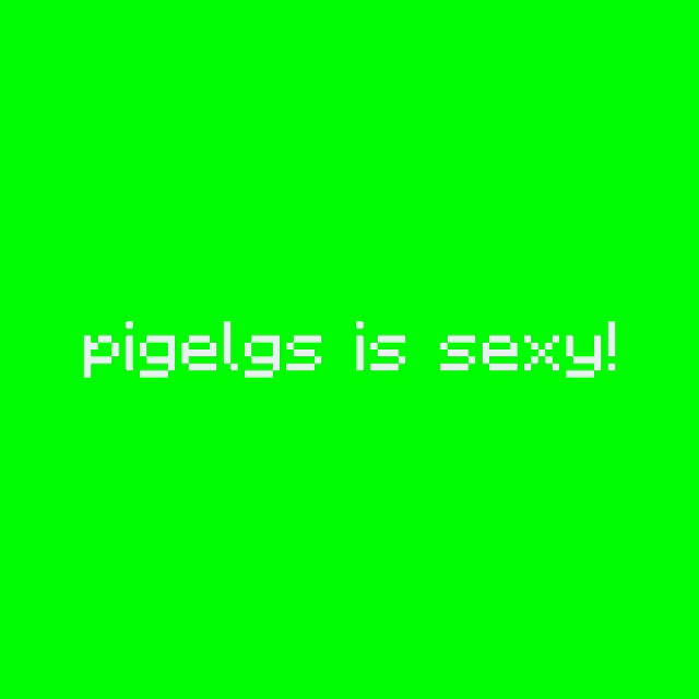 a green background with white pixelated text that says pigel95 is sexy