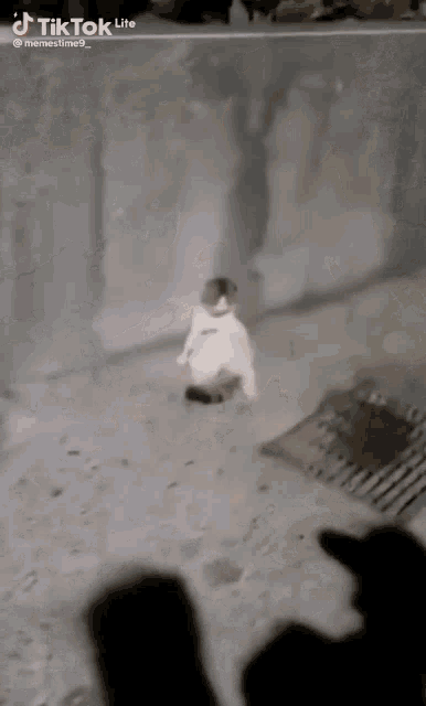 a cat is standing on its hind legs in front of a wall and a manhole cover .