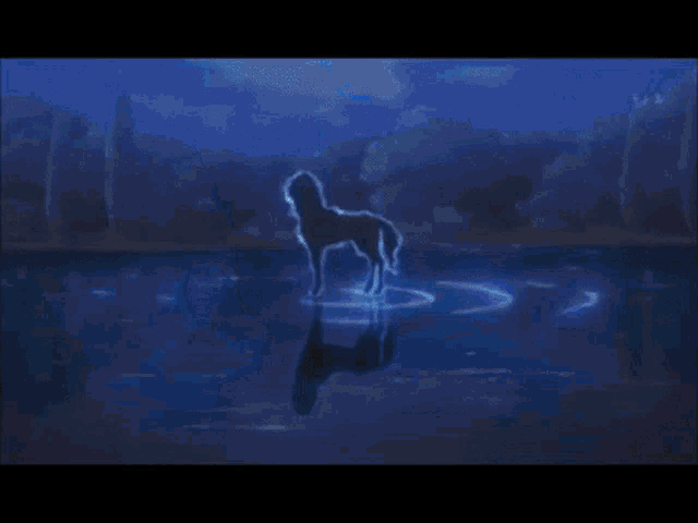 a person 's feet are floating in the water with circles around them