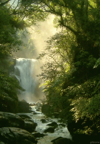 Water Falls Nature GIF