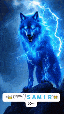 a picture of a blue wolf with lightning and the name amir