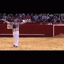 Dodging Bull Fighting GIF - Dodging Bull Fighting Spin GIFs