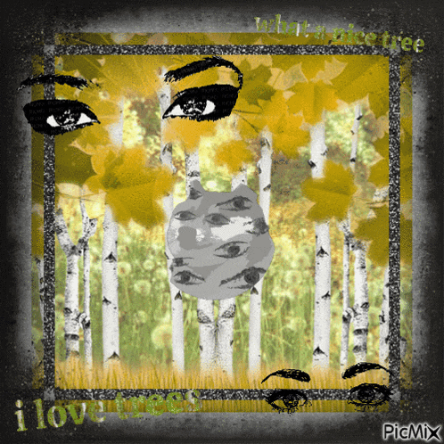 a picture of a forest with the words " i love you " on the bottom