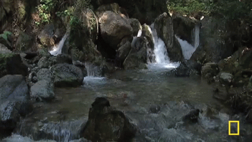 Many Waterfalls Natural Stream GIF