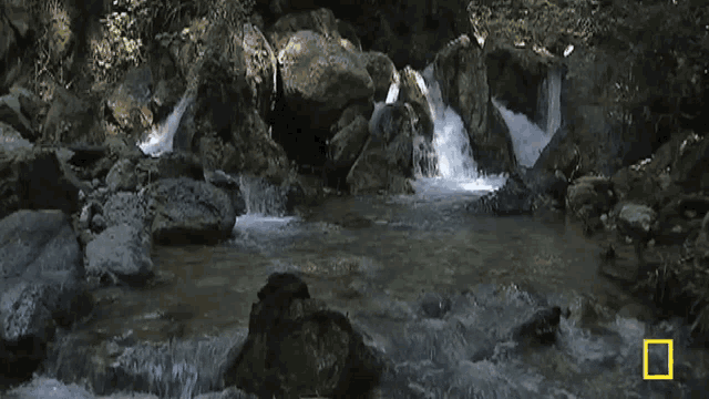 a waterfall is surrounded by rocks and trees with a national geographic logo on the bottom