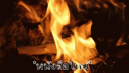 เผาหนังสือ หนังสือไหม้ ไฟไหม้ GIF - Burn Book Burning Book Fire GIFs