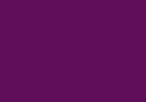 a purple background with hoe dan written in white
