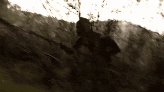 a black and white photo of a person in a forest