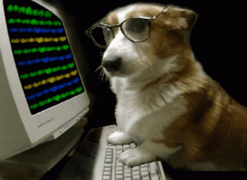 Dog Hacker GIF