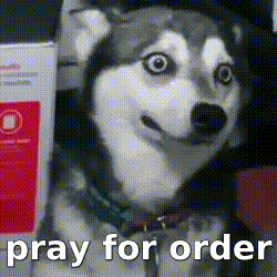 a husky dog is sitting in front of a box that says pray for order