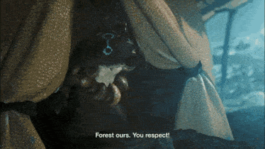 a screenshot of a video game says " forest ours you respect "