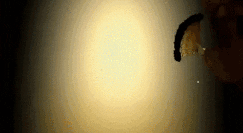 a black object is floating in the air in front of a light