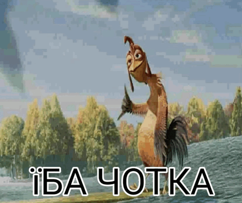 a cartoon rooster is standing on a surfboard in the water with the words " iba chotka " below it
