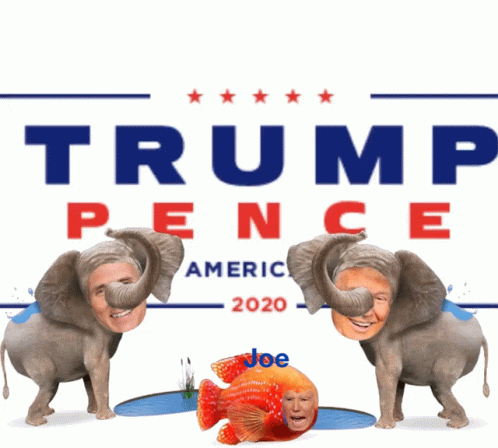 Donald Trump 2020 GIF - Donald Trump 2020 Mike GIFs