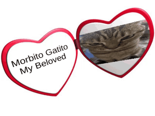 a heart shaped mirror with a picture of a cat and the words " morbito gatito my beloved " on it