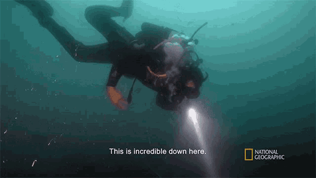 This Is Incredible Down Here Albert Lin GIF - This Is Incredible Down Here Albert Lin National Geographic GIFs