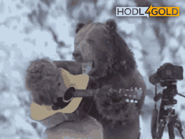 a bear playing a guitar in front of a hodl4gold sign
