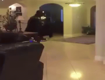 Hoverboard Fail GIF - Hoverboard Fail GIFs