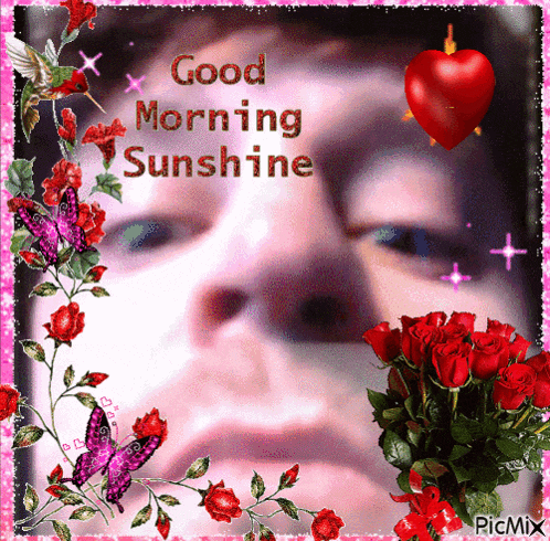 a picture of a woman surrounded by red roses and butterflies with the words good morning sunshine