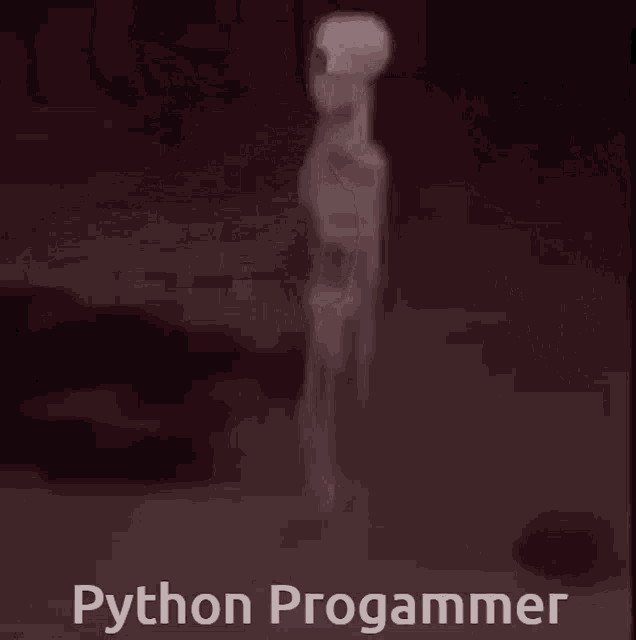a picture of a python progammer with a blurred image of an alien