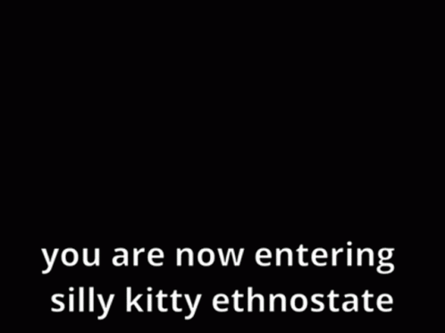 Silly Silly Kitty GIF - Silly Silly Kitty Kitty GIFs