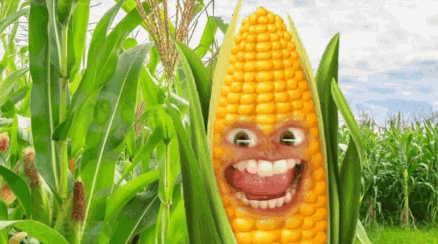 Corn Is God Bley GIF - Corn Is God Bley Sunday Truck GIFs