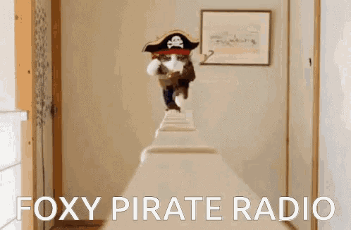 Errt Foxy Pirate GIF - Errt Foxy Pirate Cat GIFs