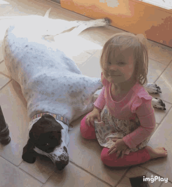 Love Dogs Love My Dog GIF - Love Dogs Love My Dog Dogs GIFs