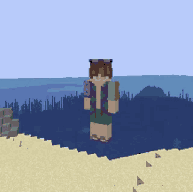 a minecraft character is standing on a beach in front of the ocean .