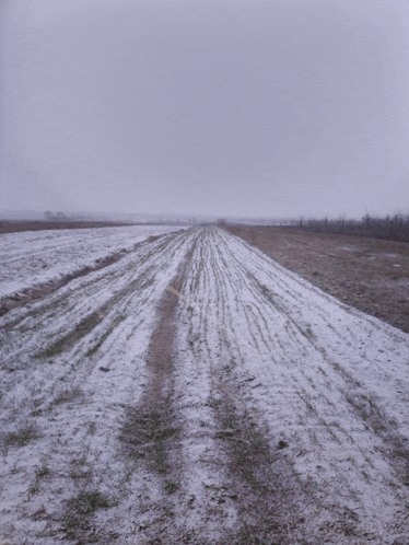 a snowy field with a few trees in the distance