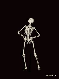 a skeleton is standing with his hands on his hips and the letters smault 2.3 on the bottom