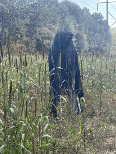 a scarecrow in a field with tall grass