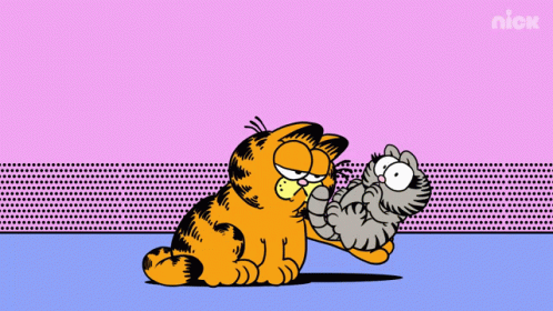 Carrying A Baby Nermal GIF - Carrying A Baby Nermal Garfield GIFs