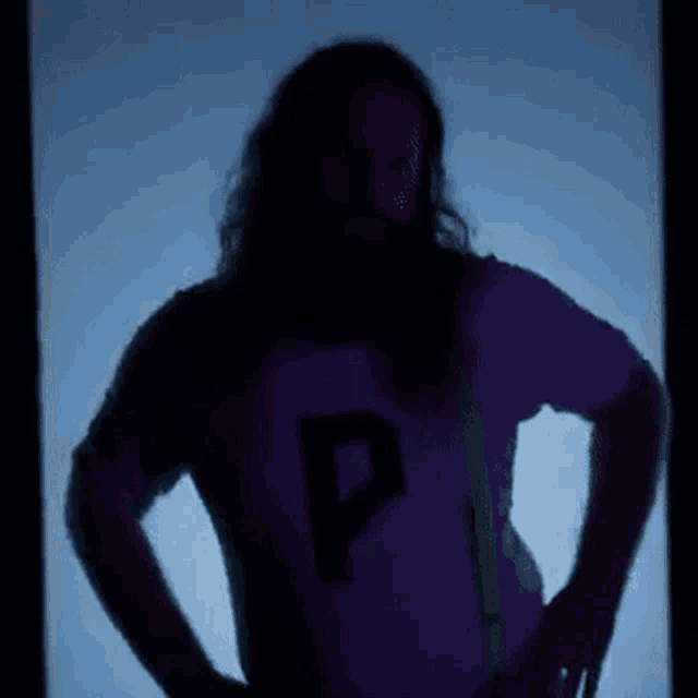 a man with long hair and a beard is standing in front of a blue background .