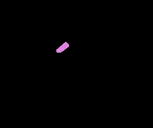 a pink selena logo with a black background