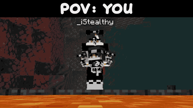a screenshot of a video game with the words pov : you