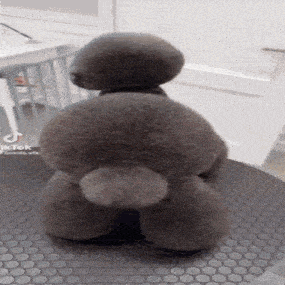 a stuffed animal is sitting on a table with a tiktok watermark