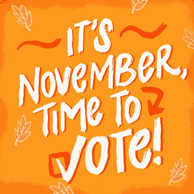 Its November Time To Vote November GIF - Its November Time To Vote Time To Vote November GIFs