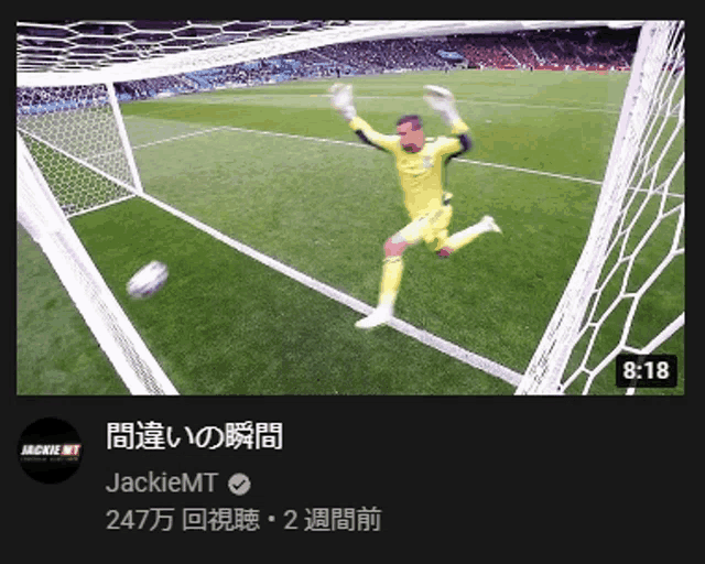 a soccer goalie jumps in the air to catch a soccer ball in the net