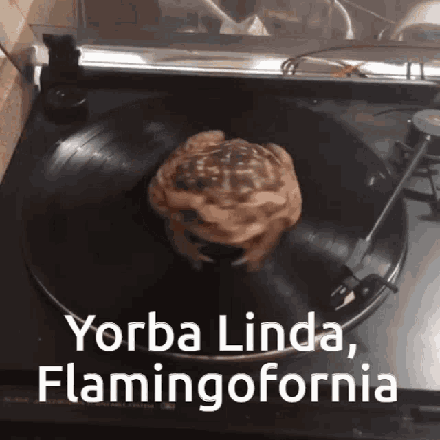 a record player with a piece of meat on it and the words yorba linda flamingofornia