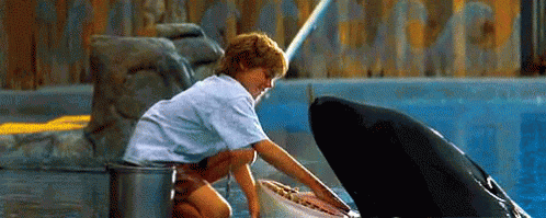 Free Willy GIF - Free Willy Kid Clean GIFs