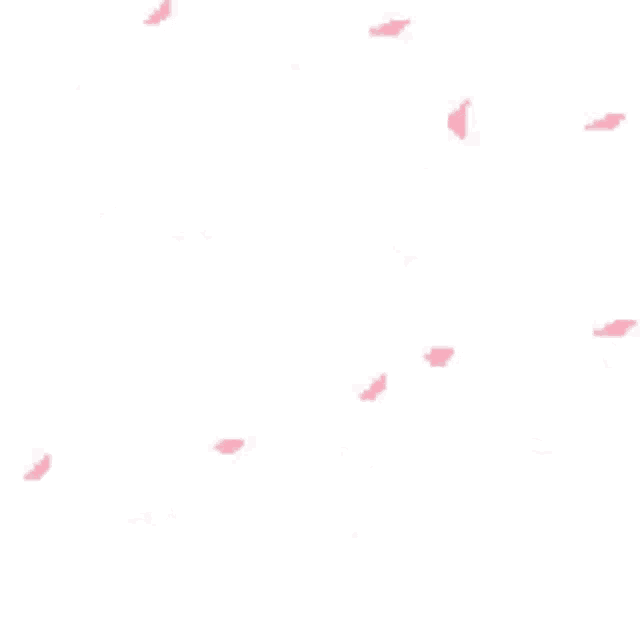 a bunch of pink petals falling on a white background .