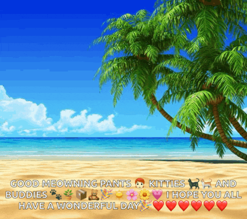 a picture of a beach with the words good meowning pants buddies and kitties i hope you all have a wonderful day