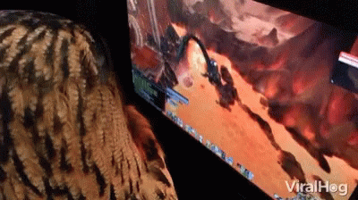 Video Game Owl GIF - Video Game Owl What Is This GIFs