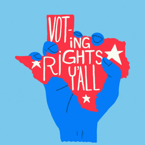 Yall Voting Rights Yall GIF - Yall Voting Rights Yall Texas GIFs