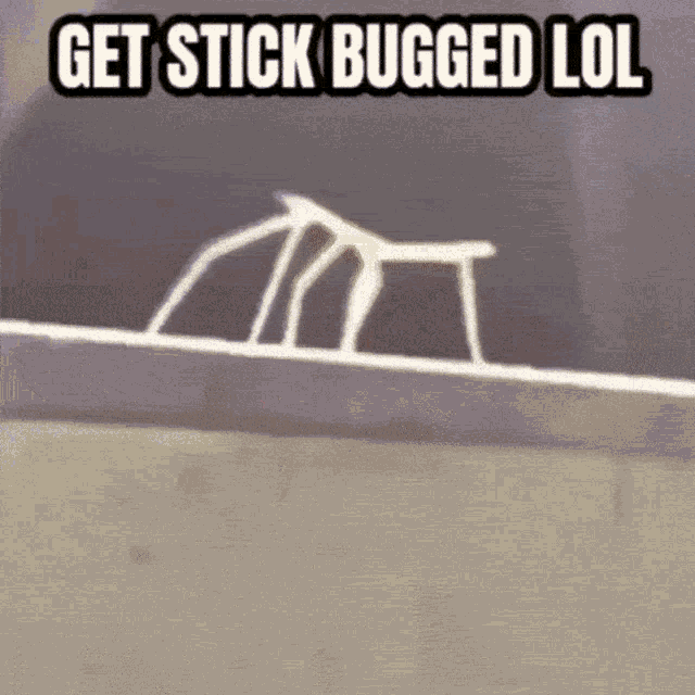 Stick Bug Rick Roll GIF - Stick Bug Rick Roll Lol GIFs