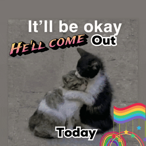two cats hugging with the words it 'll be okay hell come out today below them