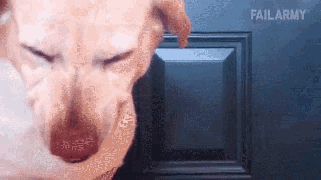 Smiling Scared GIF - Smiling Scared Squinting GIFs