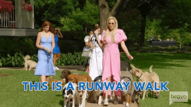 a woman in a pink dress is walking a group of dogs on a runway walk